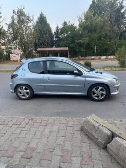 
										Peugeot 206 2004 Купе Бензин целосно									