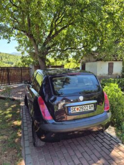 
										Lancia Ypsilon 2004 Хечбек Бензин целосно									