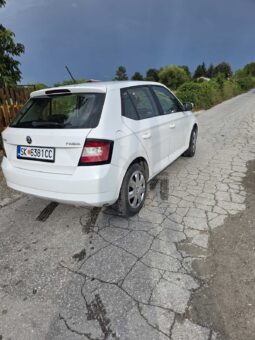 
										Skoda Fabia 2018 Хечбек Бензин – Плин (ТНГ) целосно									