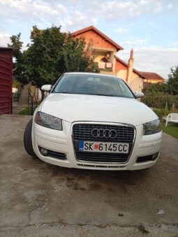 
										Audi A3 2008 Хечбек Бензин целосно									