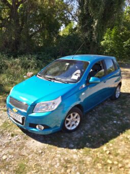 Chevrolet Aveo 2010 Хечбек Бензин